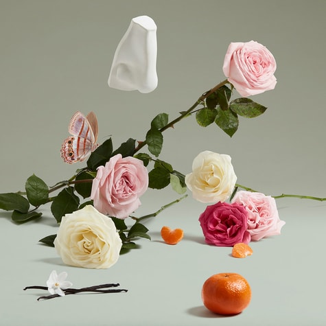 PENHALIGON'S - THE COVETED DUCHESS ROSE 75 ml ( tester )