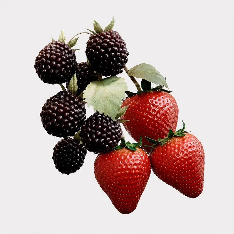 BURBERRY- HER ELIXIR DE PARFUM 100ml